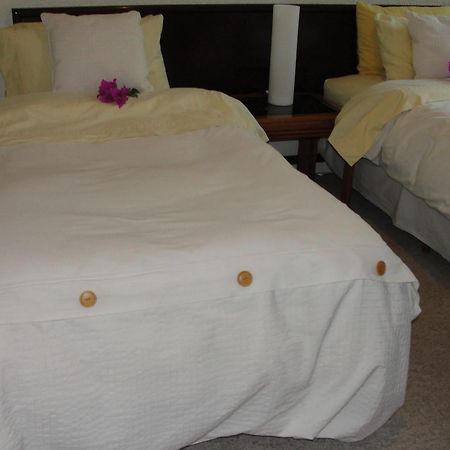 Steinhaus Suites Homero 墨西哥城 外观 照片