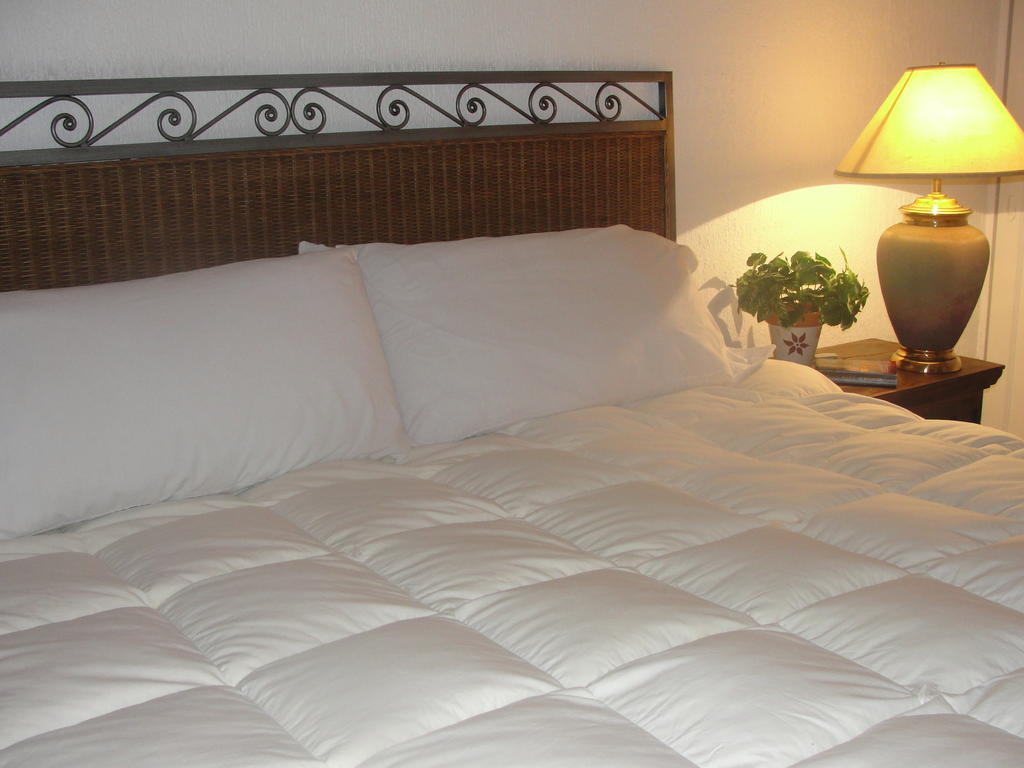 Steinhaus Suites Homero 墨西哥城 外观 照片