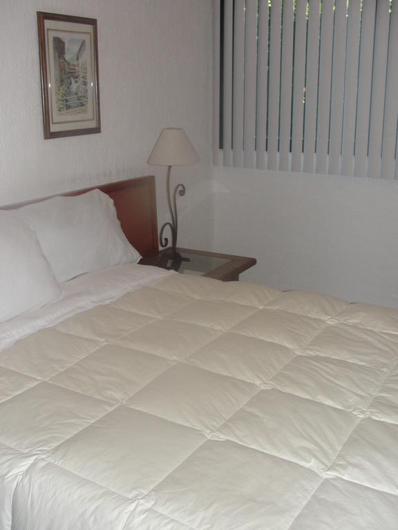 Steinhaus Suites Homero 墨西哥城 外观 照片