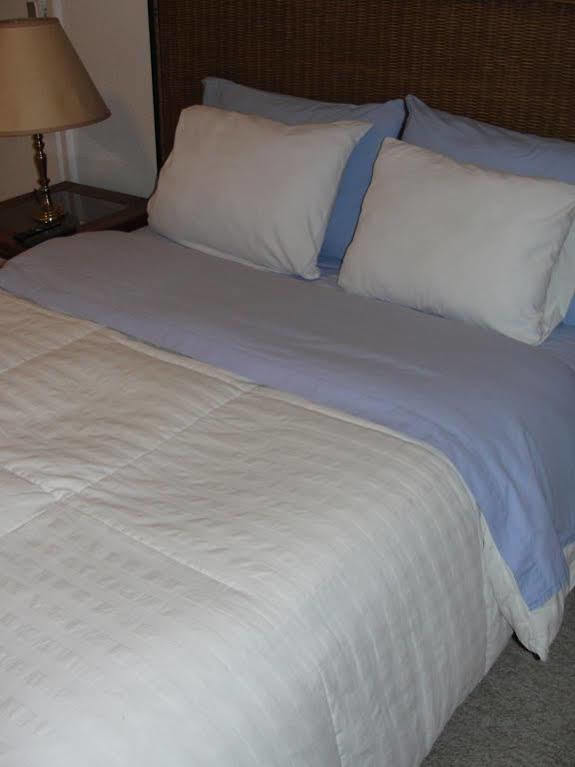Steinhaus Suites Homero 墨西哥城 外观 照片